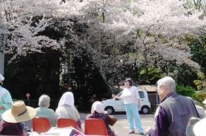 春のお花見